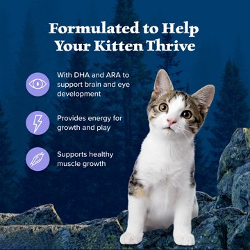 Blue Buffalo Wilderness Kitten Dry Cat Food - GF Chicken