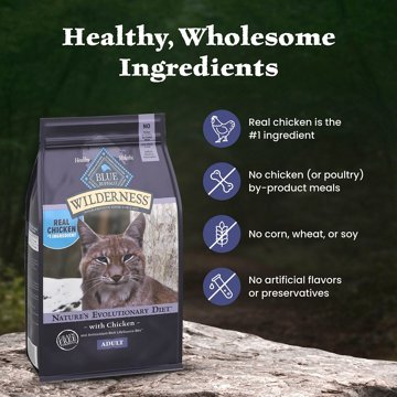 Blue Buffalo Wilderness GF Dry Cat Food - Chicken