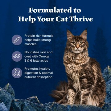 Blue Buffalo Wilderness GF Dry Cat Food - Chicken