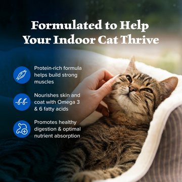 Blue Buffalo Blue Wilderness Chicken with LifeSource Bits Dry Indoor Cat Food, 4 lb