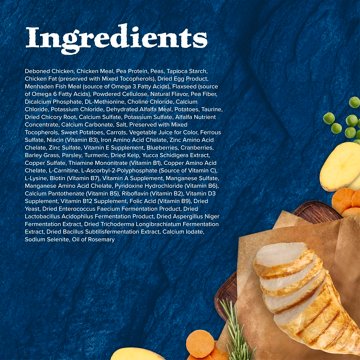 Blue Buffalo Wilderness GF Indoor Dry Cat Food - Chicken