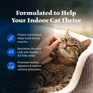 Blue Buffalo Wilderness GF Indoor Dry Cat Food - Chicken