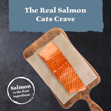 Blue Buffalo Wilderness Dry Cat Food - GF Salmon
