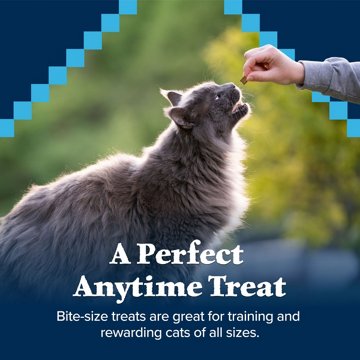Blue Buffalo Wilderness GF SoftMoist Cat Treats - Chicken & Salmon
