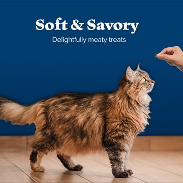 Blue Buffalo Wilderness GF SoftMoist Cat Treats - Chicken & Salmon