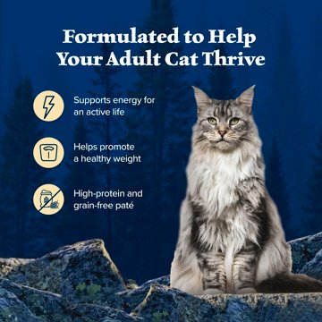 Blue Buffalo Wilderness Wet Cat Food Variety Pack