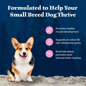 Blue Buffalo Wilderness Small Breed Dry Dog Food - Chicken