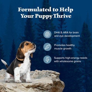 Blue Buffalo Wilderness Puppy Dry Dog Food - Chicken