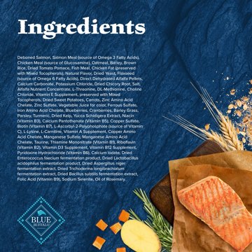 Blue Buffalo Wilderness Dry Dog Food - Salmon