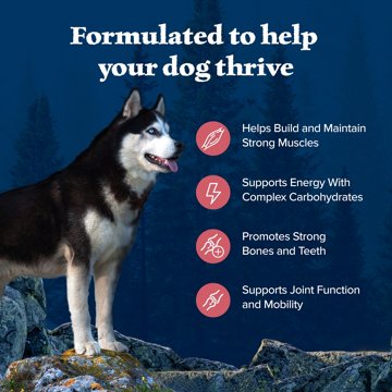 Blue Buffalo Wilderness Dry Dog Food - Salmon