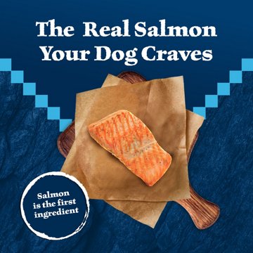 Blue Buffalo Wilderness Dry Dog Food - Salmon
