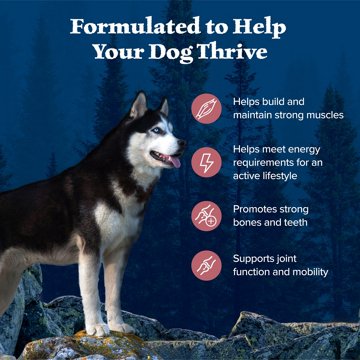Blue Buffalo Wilderness Dry Dog Food - Salmon
