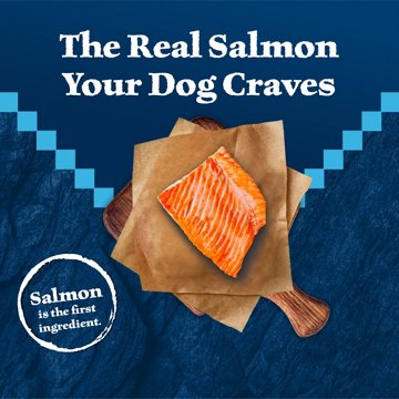Blue Buffalo Wilderness Dry Dog Food - Salmon