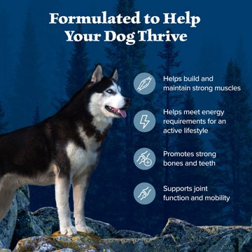 Blue Buffalo Wilderness Dry Dog Food - Chicken