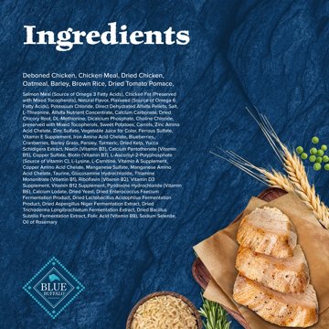 Blue Buffalo Wilderness Dry Dog Food - Chicken