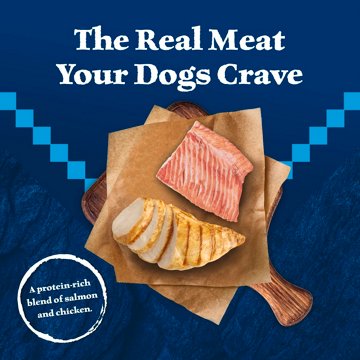 Blue Buffalo Wilderness Wet Dog Food - GF Salmon & Chicken