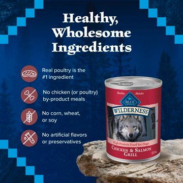 Blue Buffalo Wilderness Wet Dog Food - GF Salmon & Chicken