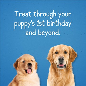 Puppy Chow Purina Training Treats Healthy Start - Salmon
