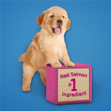 Puppy Chow Purina Training Treats Healthy Start - Salmon