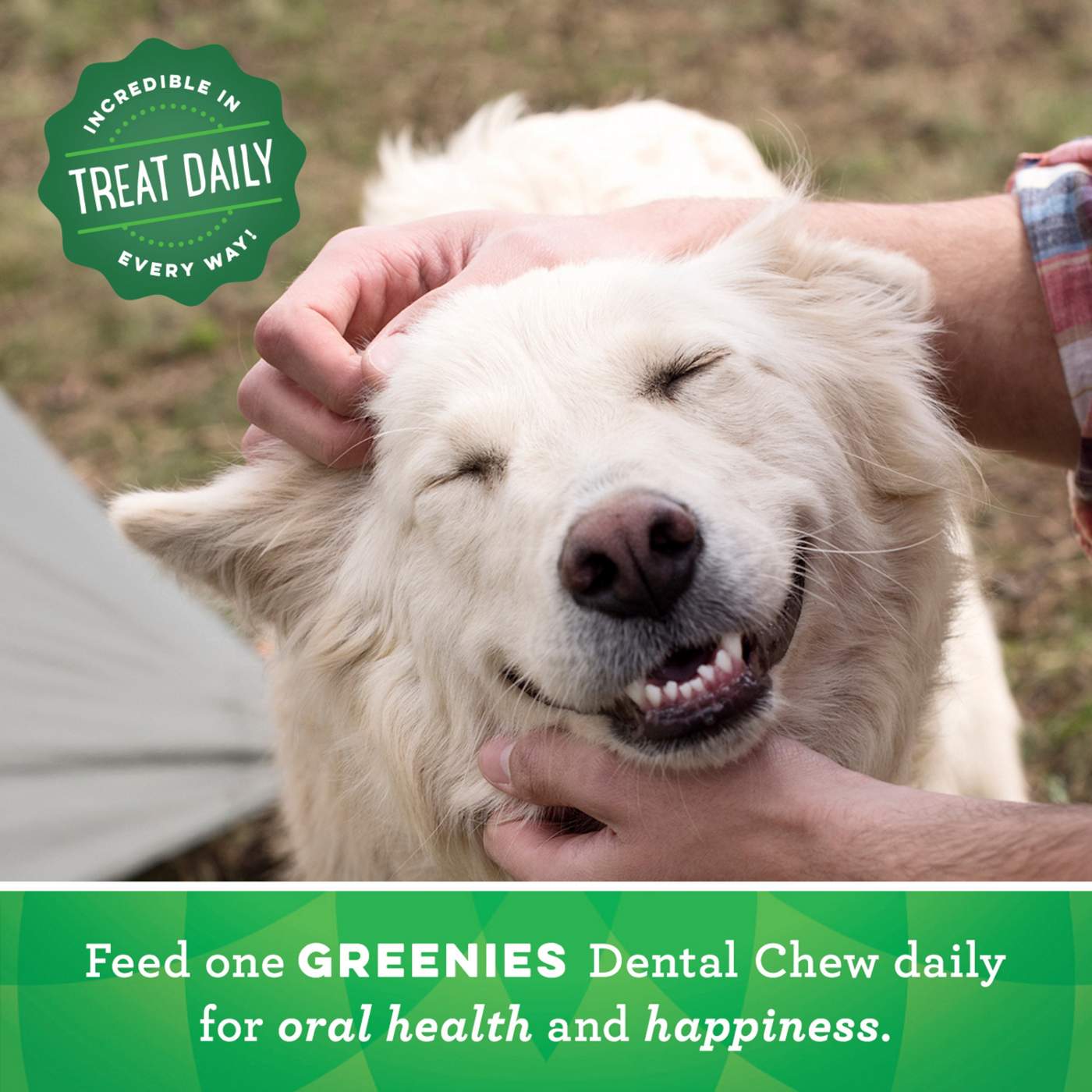 GREENIES Original TEENIE Natural Dental Care Dog Treats; image 3 of 5