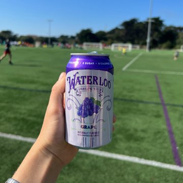 Waterloo Grape Sparkling Water 12 pk Cans