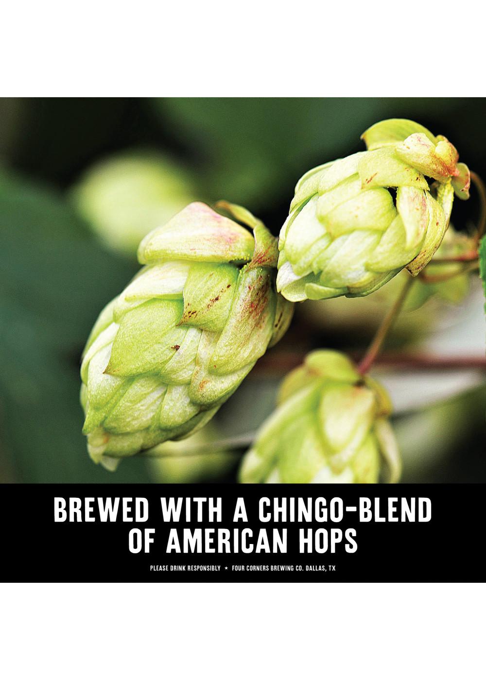 Four Corners El Chingon IPA Beer Shop Beer at HEB