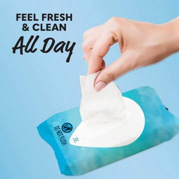 Summer's Eve Feminine Wipes - Fragrance Free, 32 ct