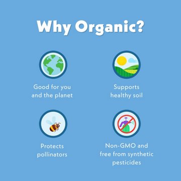 Once Upon a Farm Organic Smart Blend Baby Food Pouch - Pear-y Blueberry & Spinach