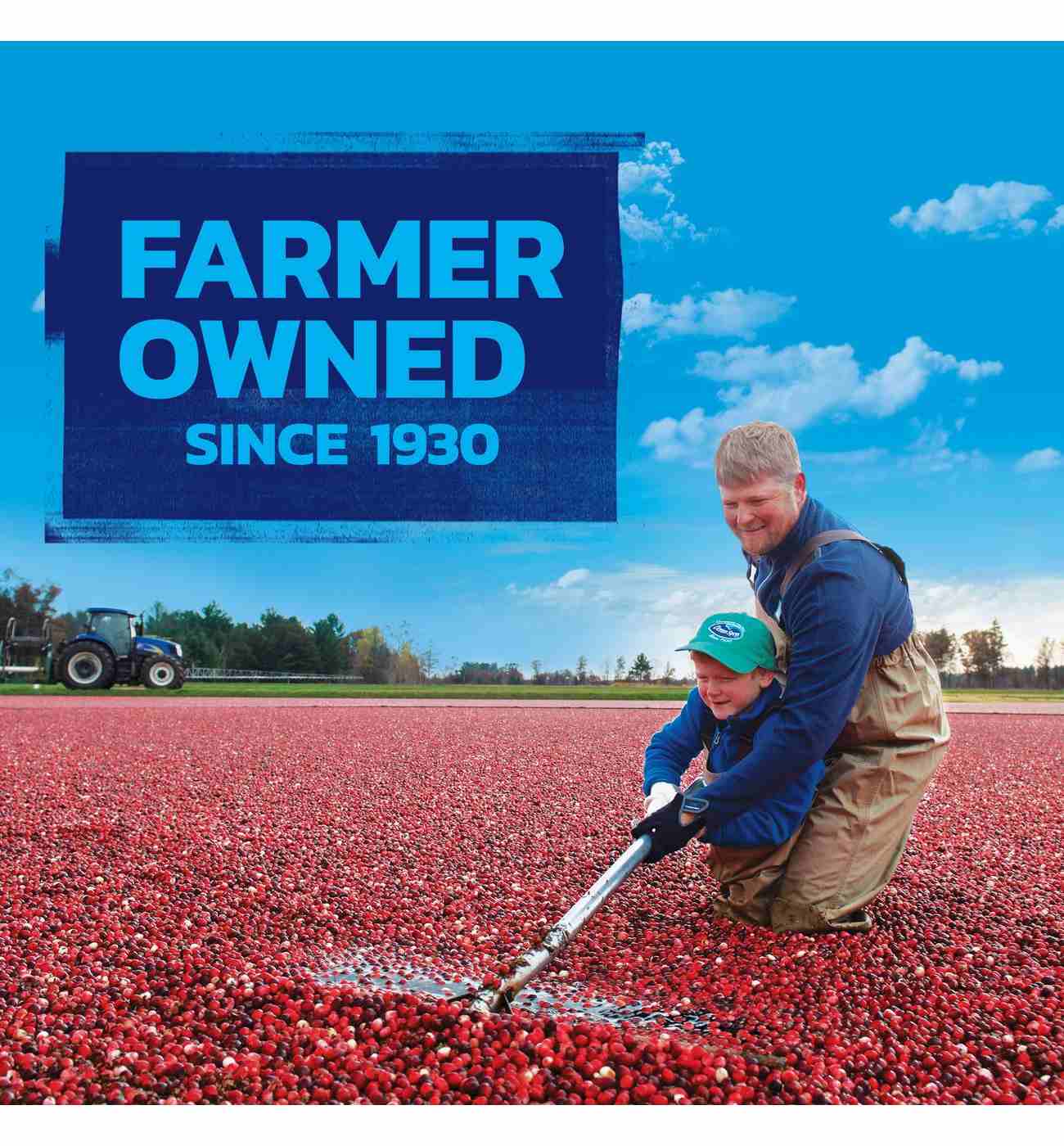 Ocean Spray Craisins 50% Less Sugar Dried Cranberries; image 3 of 8