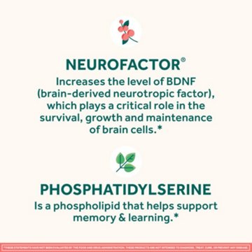 Neuriva Original Brain Performance Supplement