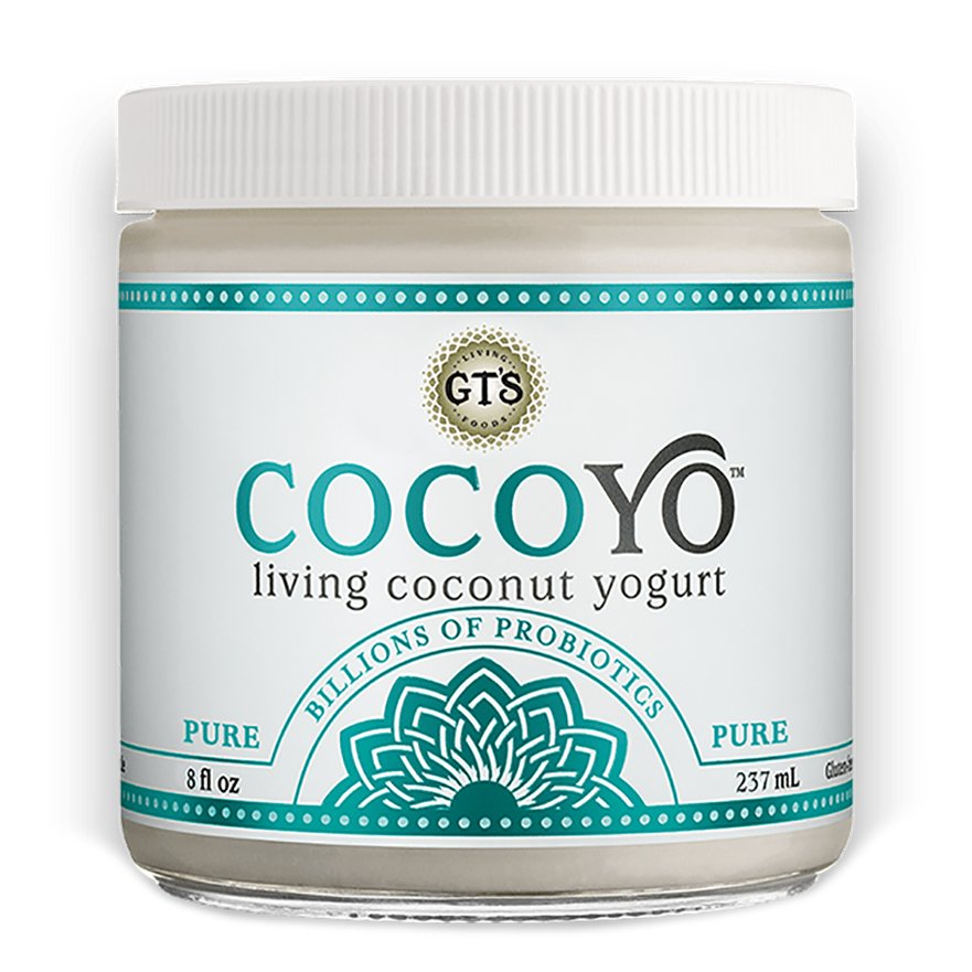 GTS Cocoyo Pure Living Coconut Yogurt Shop Yogurt at HEB
