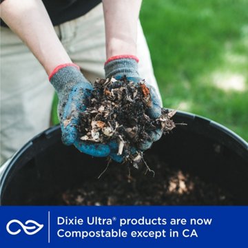 Dixie Ultra  9 in Compostable Deep Dish Paper Plates
