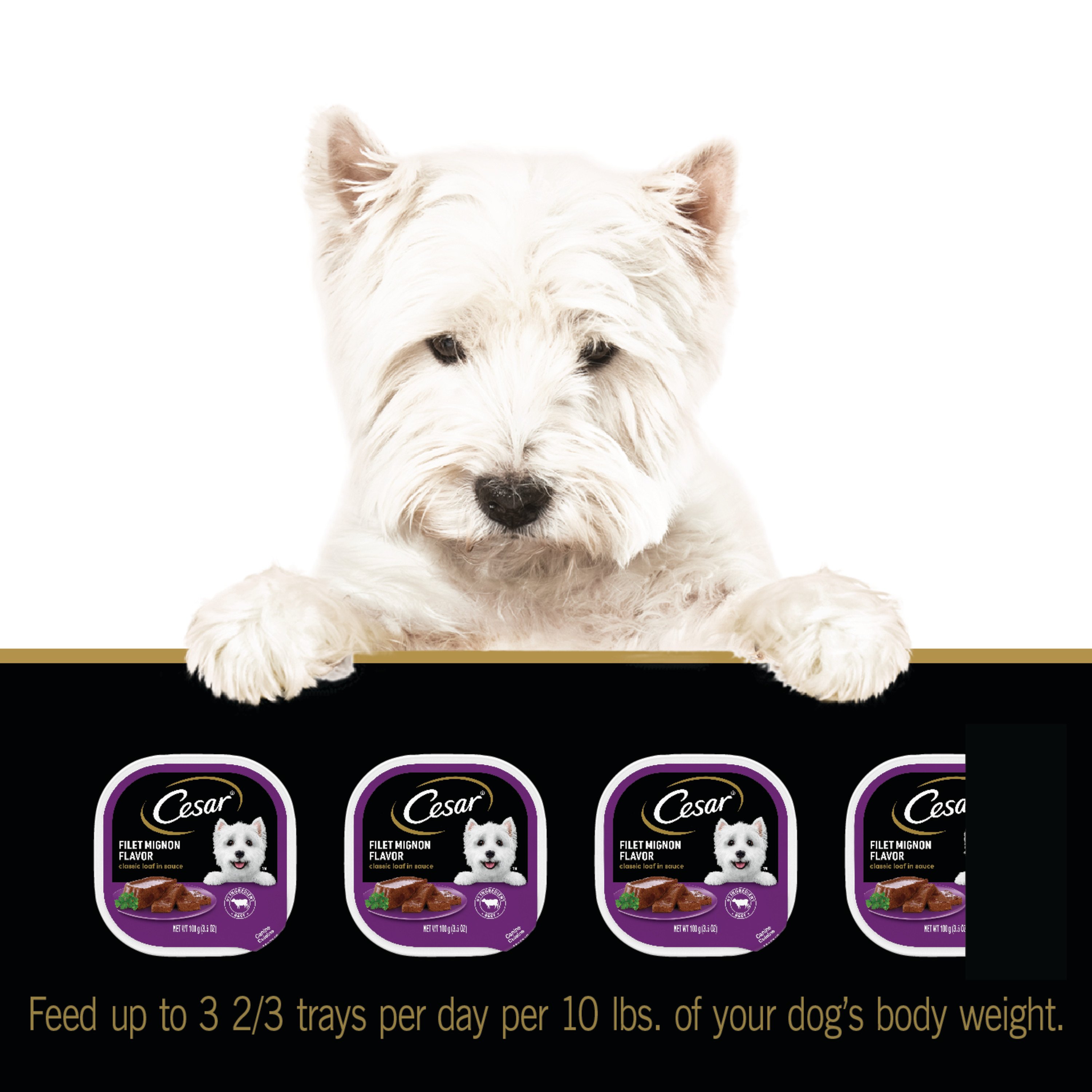 Cesar dog outlet food calories