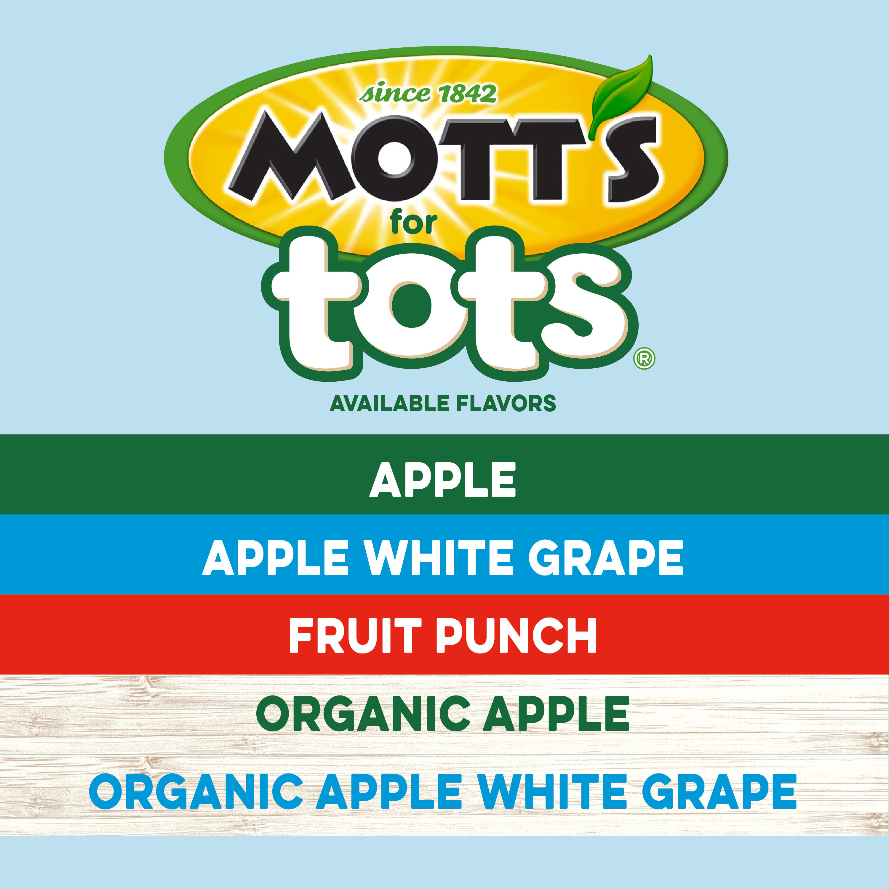 Mott's 100% Apple Juice 8 oz Bottles - Shop Juice at H-E-B