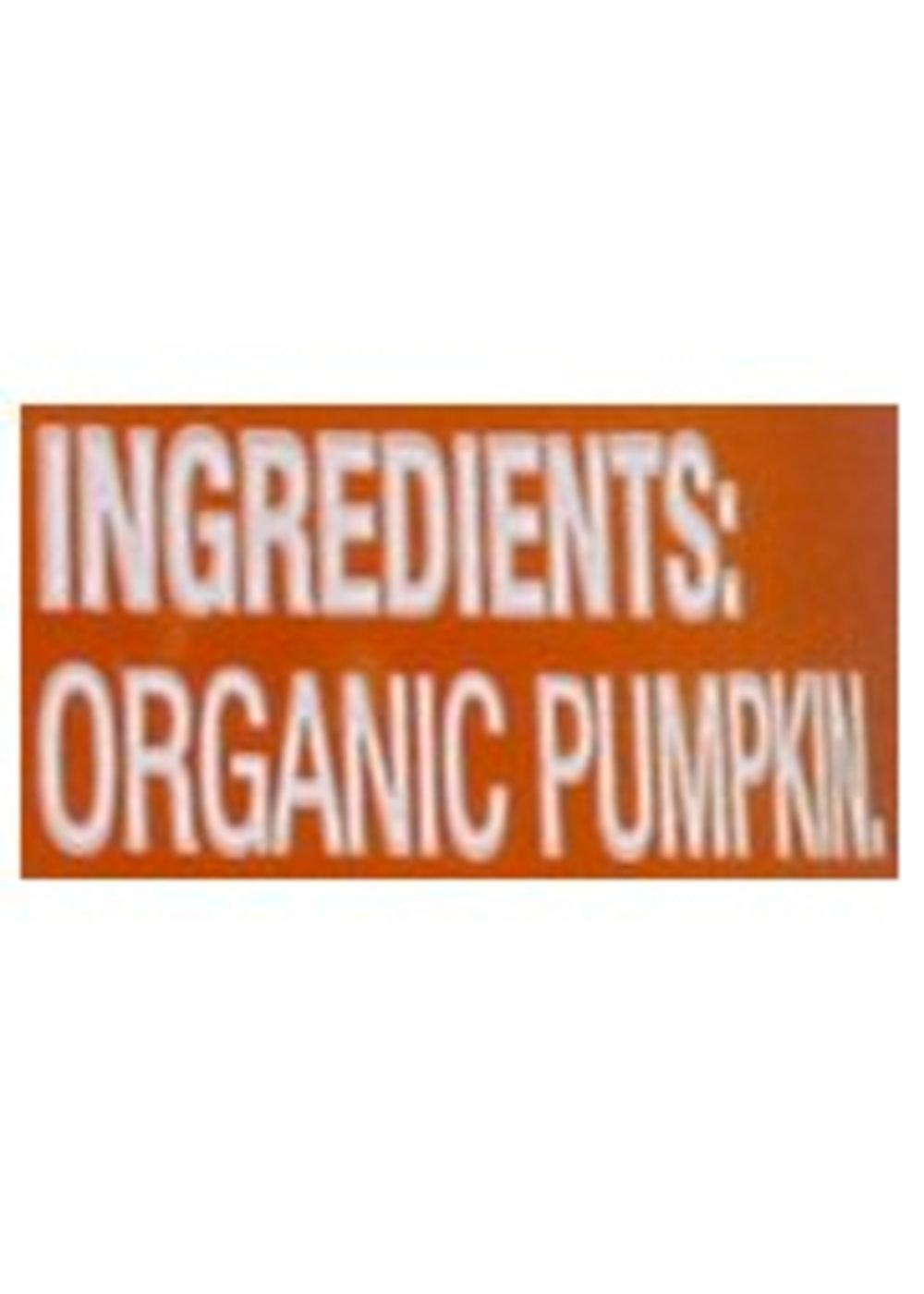 Beech-Nut Organics Stage 1 Baby Food - Pumpkin; image 2 of 3