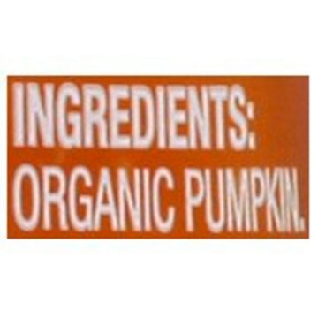 Beech-Nut Organics Stage 1 Baby Food - Pumpkin