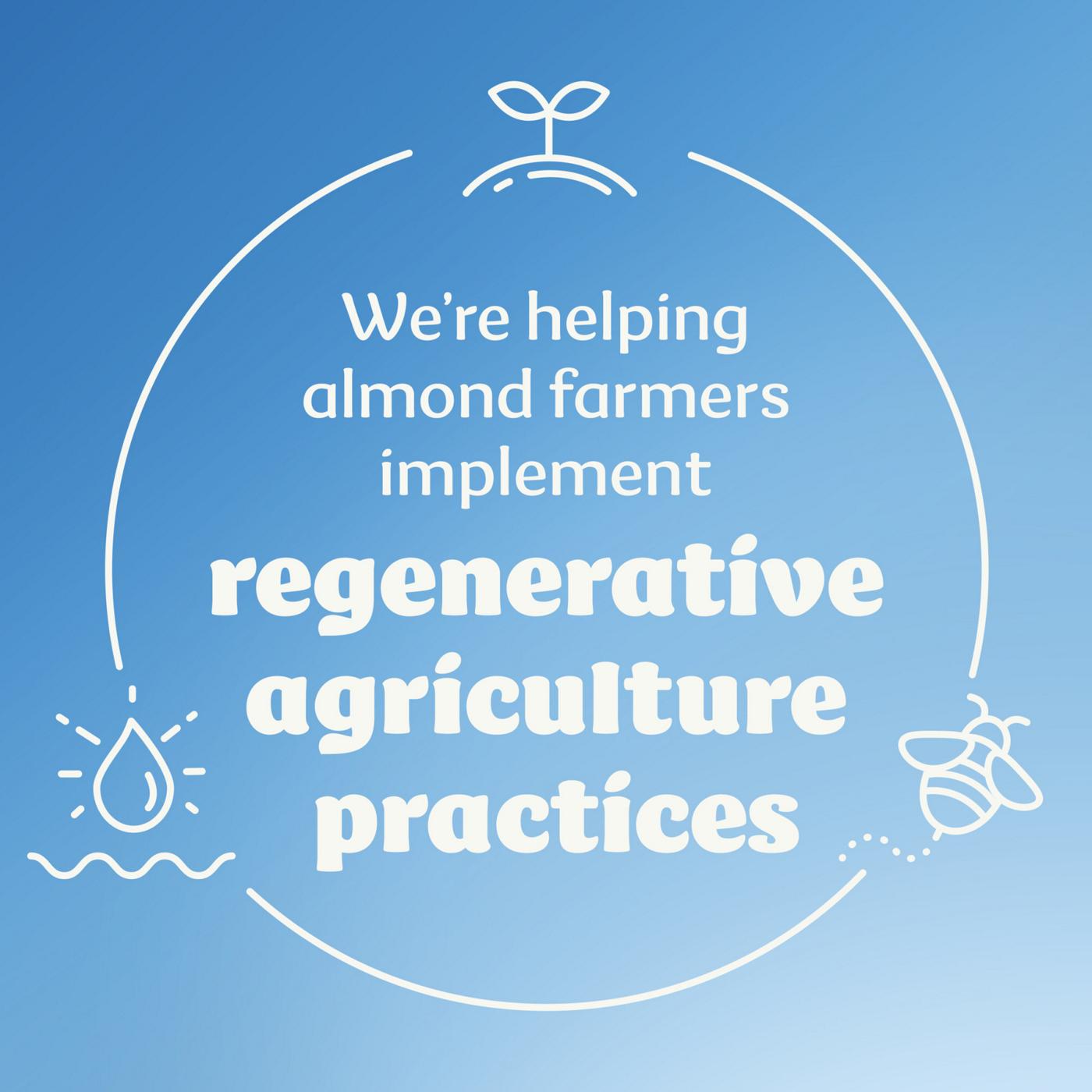 Silk Unsweetened Almond Milk Yogurt Alternative Vanilla Shop Yogurt