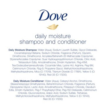 Dove Shampoo & Conditioner Daily Moisture, 2 Pk, 24 oz