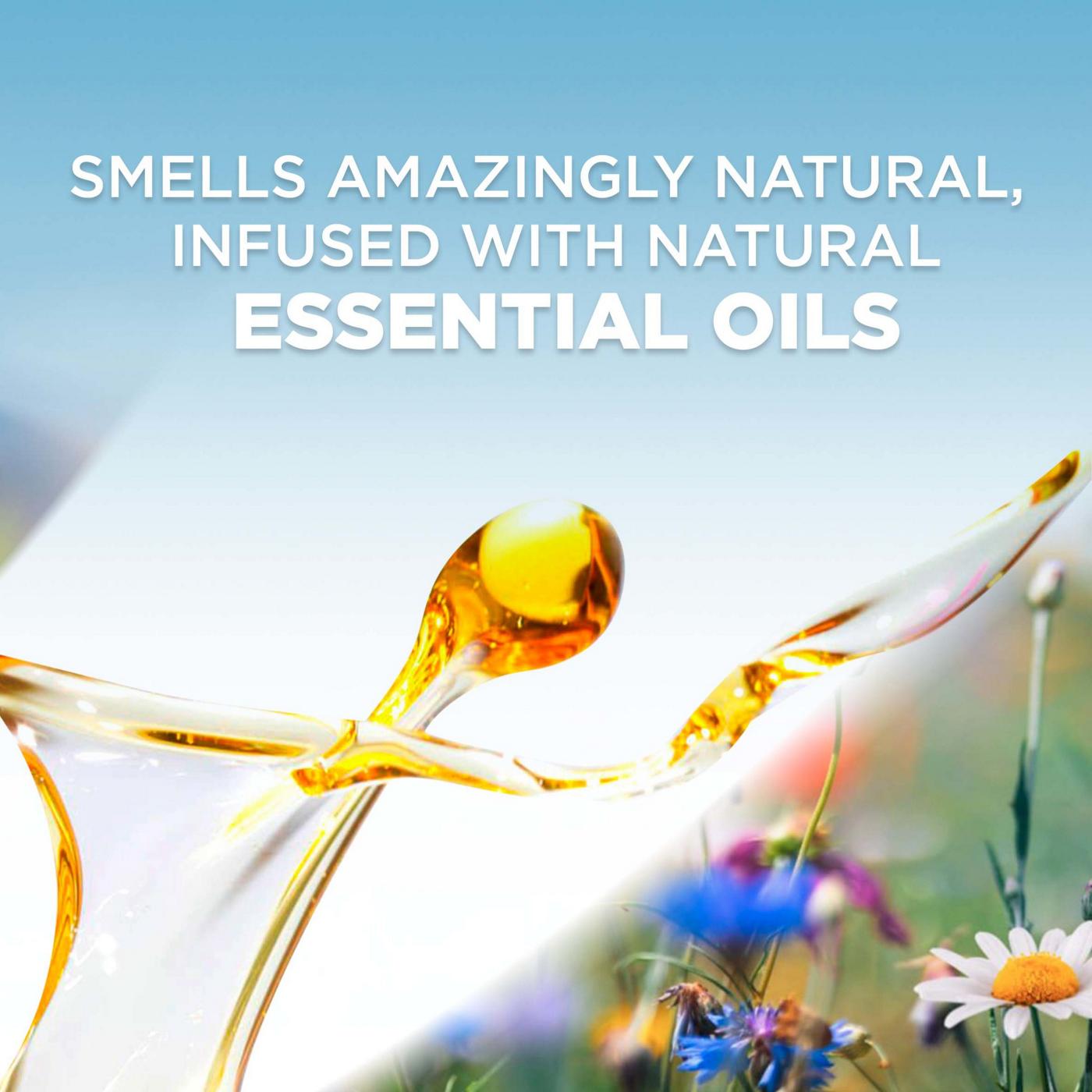 Air Wick Scented Oil Refills - Summer Delights; image 3 of 8