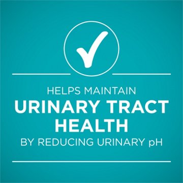 Purina ONE Urinary Tract Health Natural Pate Wet Cat Food - Beef & Liver Recipe