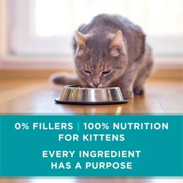 Purina ONE Grain Free Natural Pate Wet Kitten Food - Chicken & Salmon Recipe