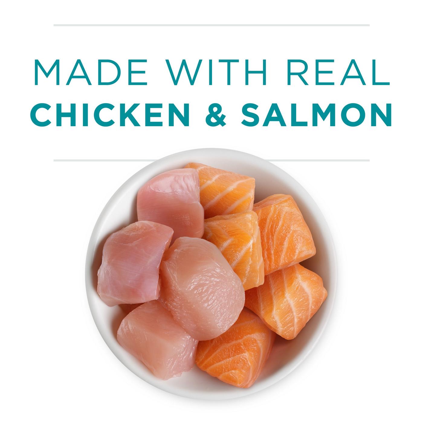 Purina ONE Healthy Kitten Pate Wet Cat Food Chicken & Salmon Recipe