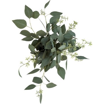 BLOOMS by H-E-B 3 Stem Seeded Eucalyptus 