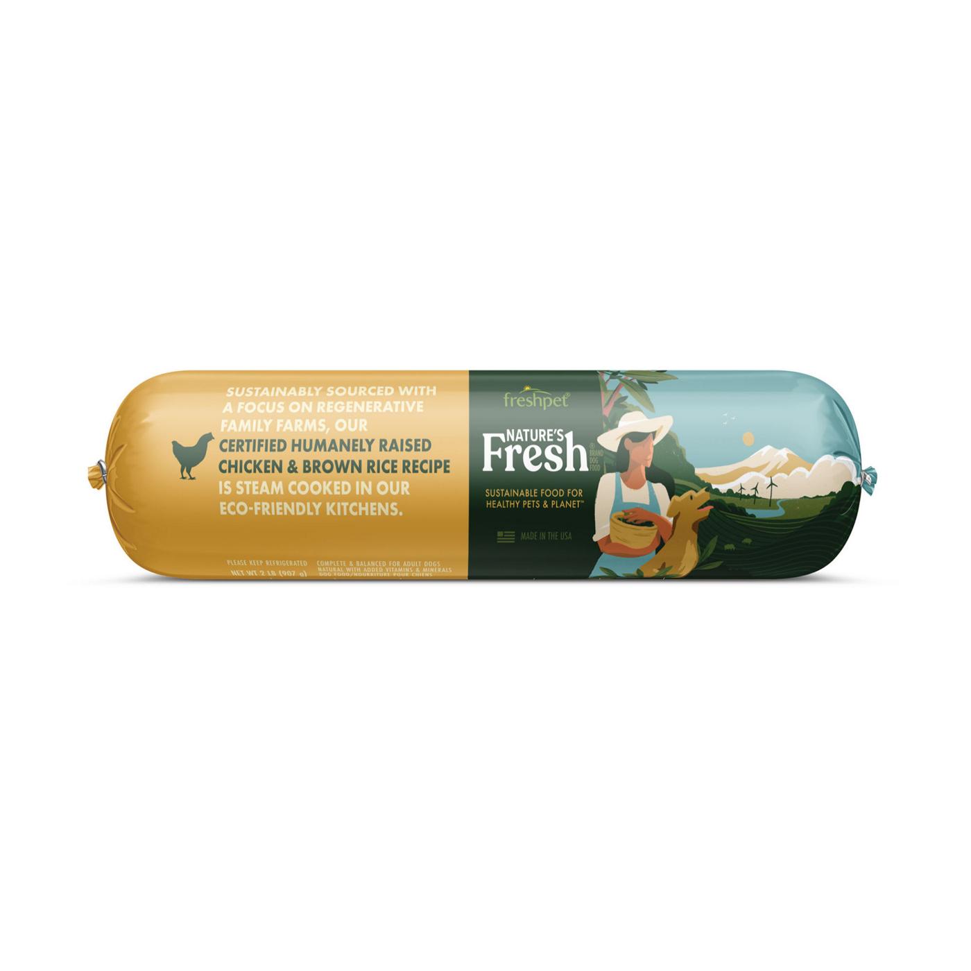 Freshpet Nature's Fresh Healthy & Natural Dog Food - Fresh Certified Humanely Raised Chicken & Brown Rice Recipe Roll; image 1 of 10