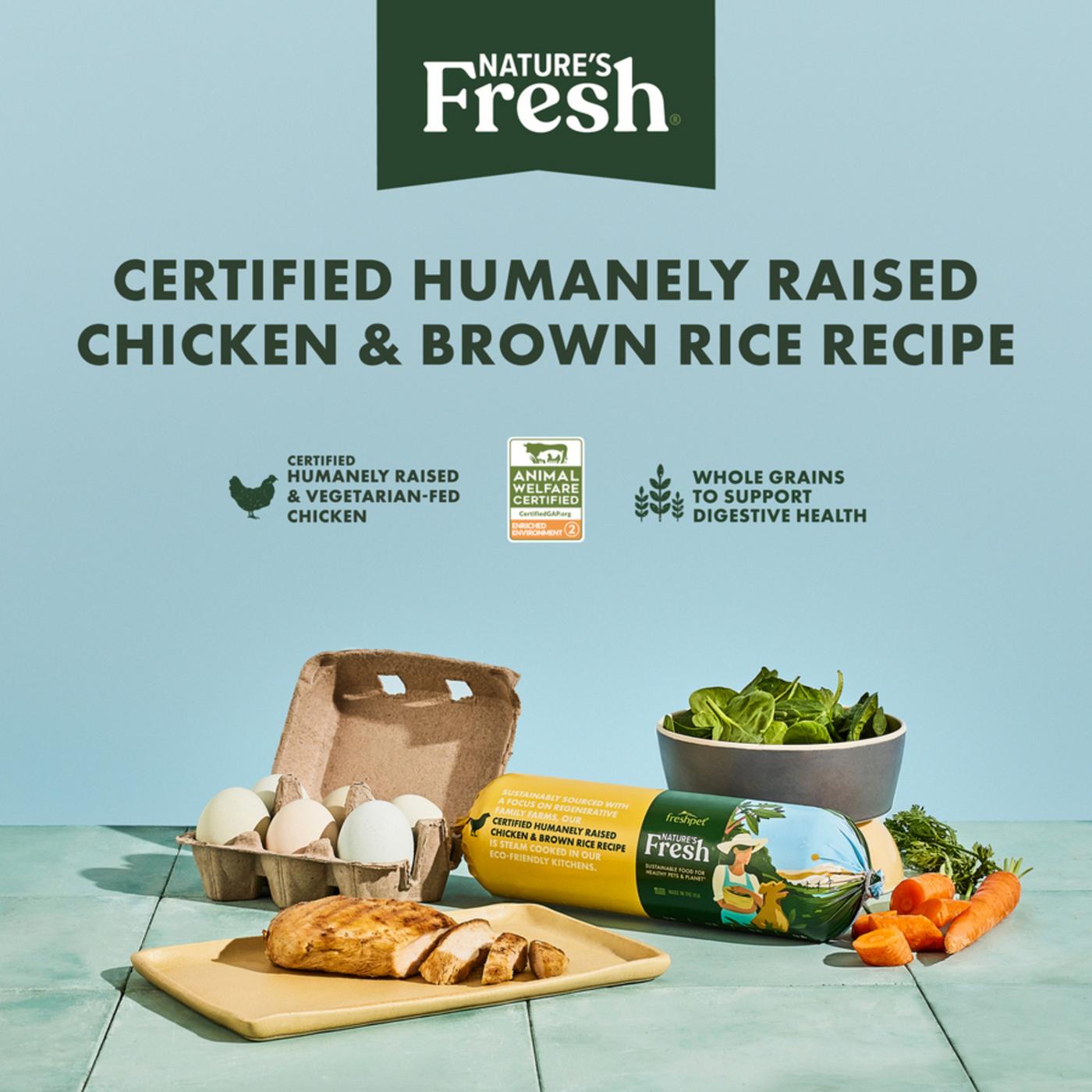 Freshpet Nature's Fresh Healthy & Natural Dog Food - Fresh Certified Humanely Raised Chicken & Brown Rice Recipe Roll; image 2 of 10