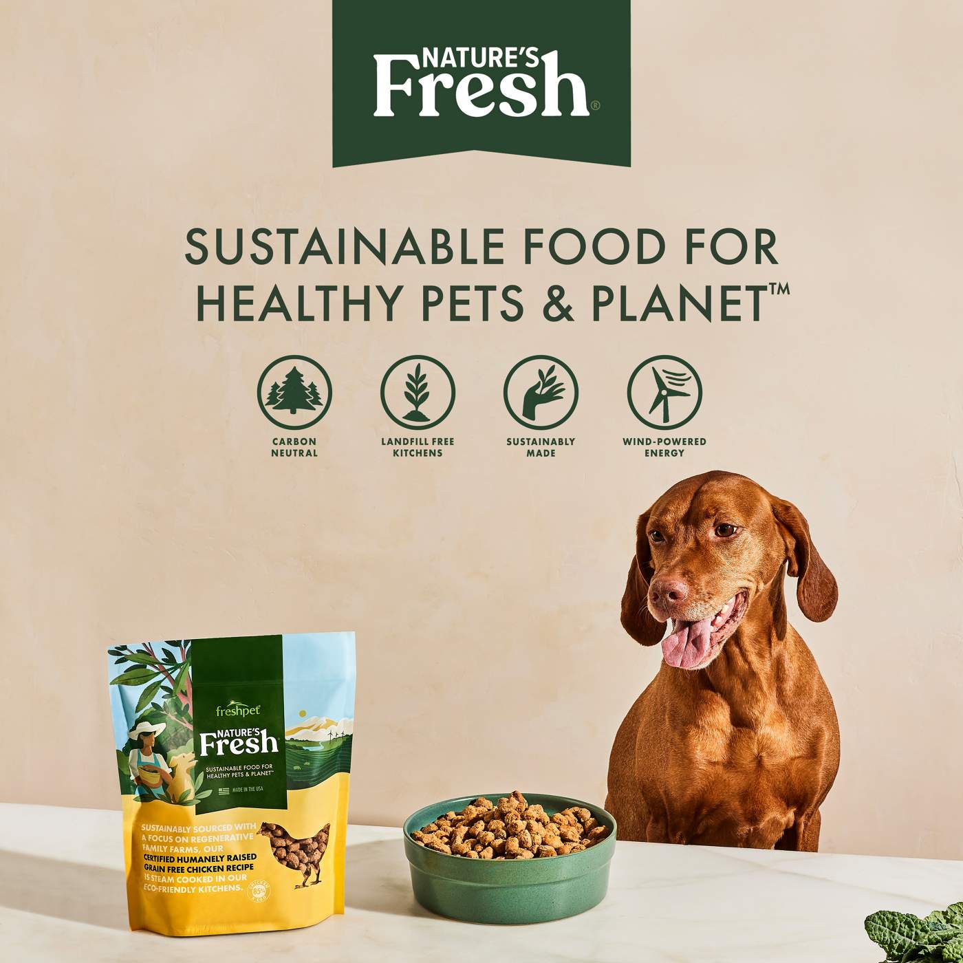 Freshpet Nature's Fresh Healthy & Natural Dog Food - Fresh Certified Humanely Raised Chicken & Brown Rice Recipe Roll; image 8 of 10