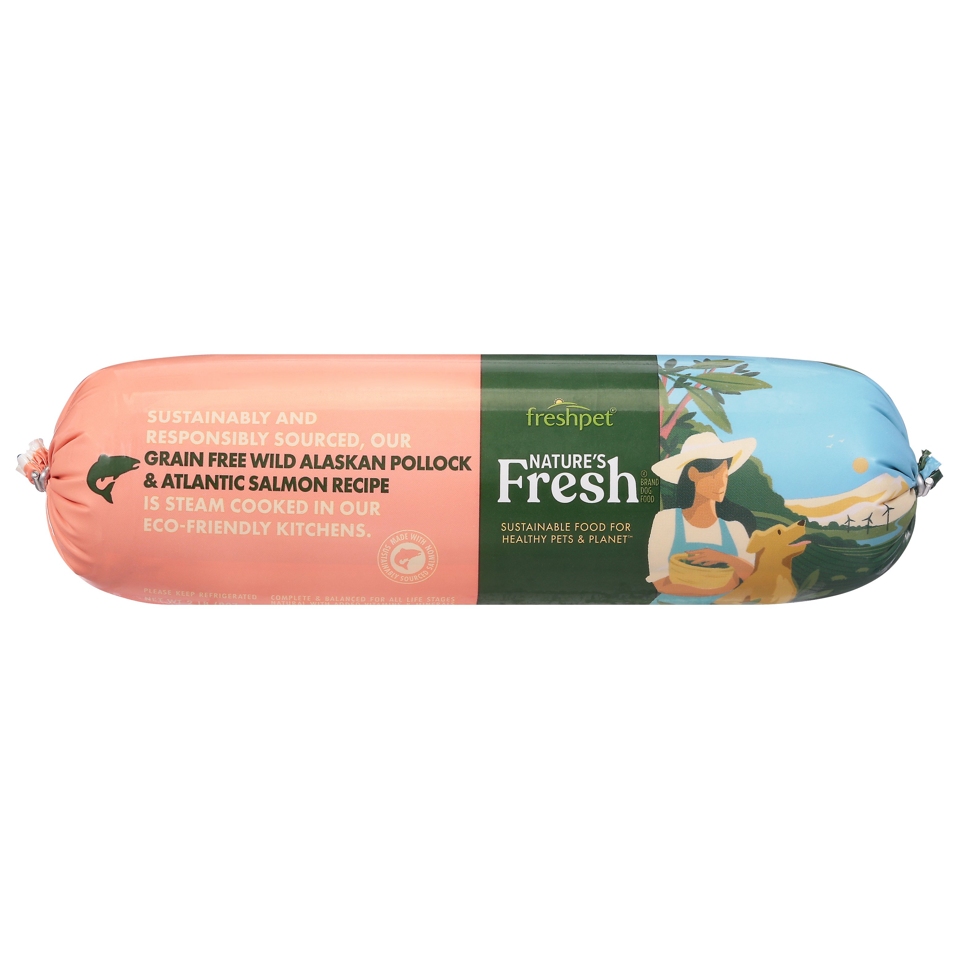 salmon dog food wet