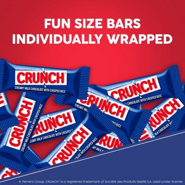 Crunch Milk Chocolate Fun Size Candy Bars, 10 oz