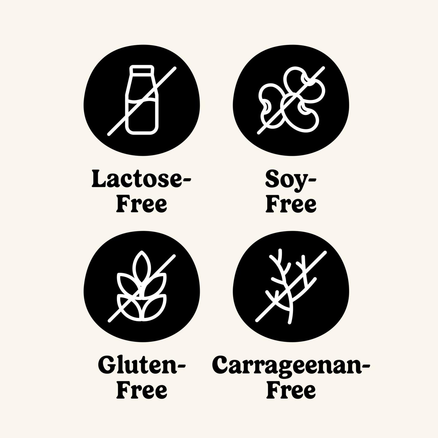 So Delicious Dairy Free Coconutmilk Yogurt - Strawberry; image 8 of 8