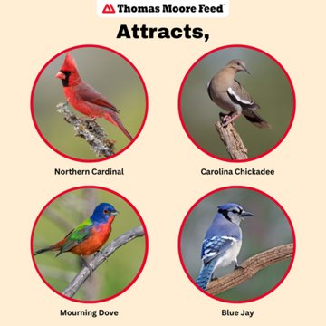 Thomas Moore Feed Texas Wild Bird Seed, 40 lb